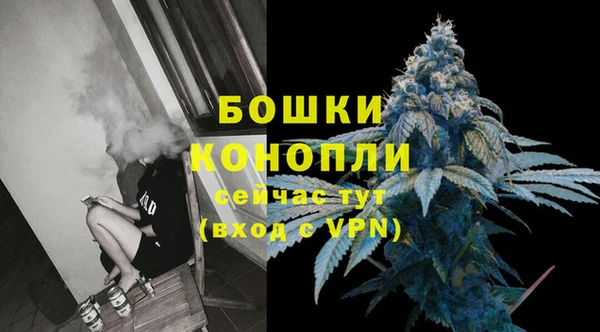 винт Бронницы
